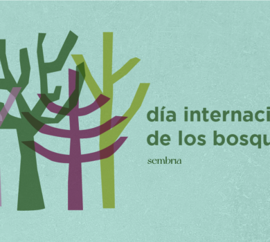 Sembria. Día internacional de los bosques