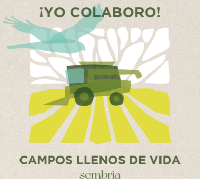 Campaña salvamento aguilucho cenizo