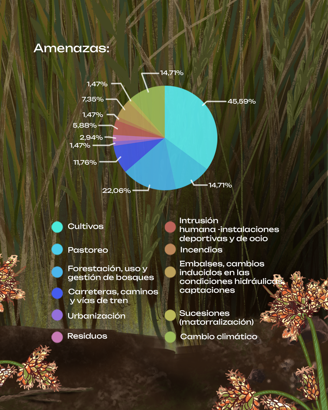 Topillo. Iberón. Sembria. Tejemos Territorio
