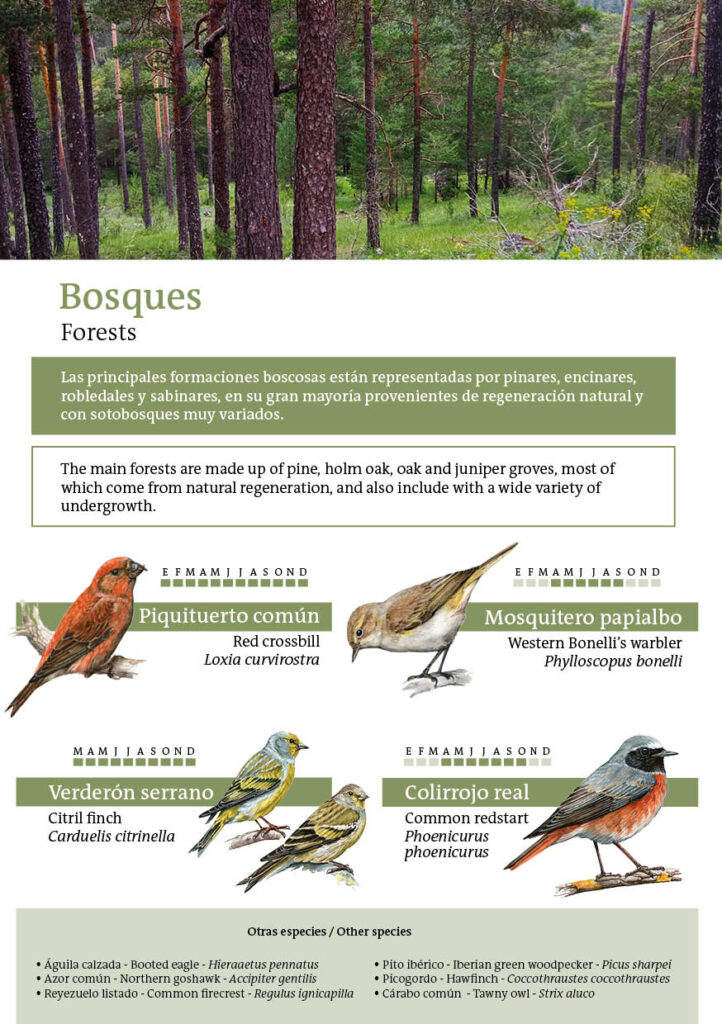 Sembria x Rewilding Spain