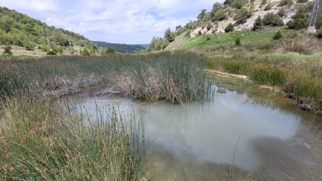 Topillo. Iberón. Sembria. Tejemos Territorio